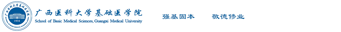 xc体育